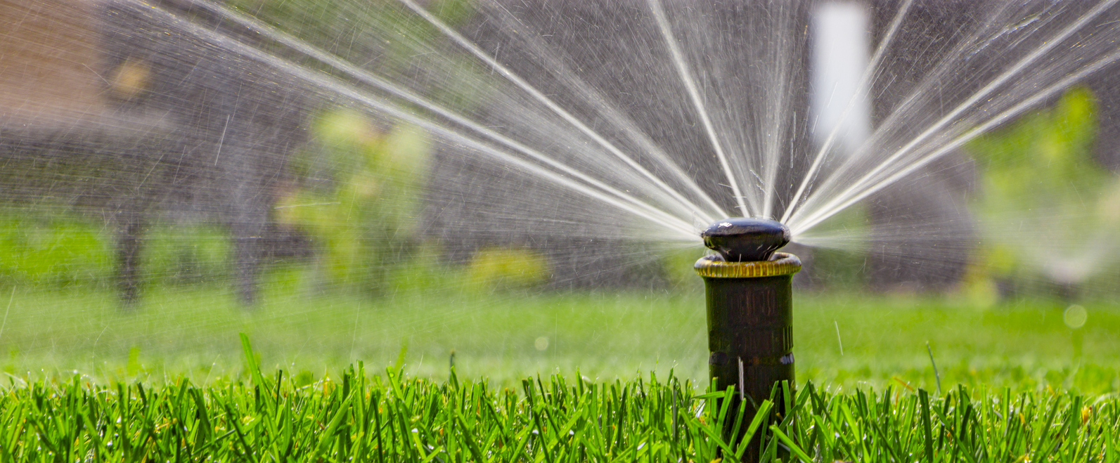 Gallery Sprinkler System 2 1750071414 Jpg